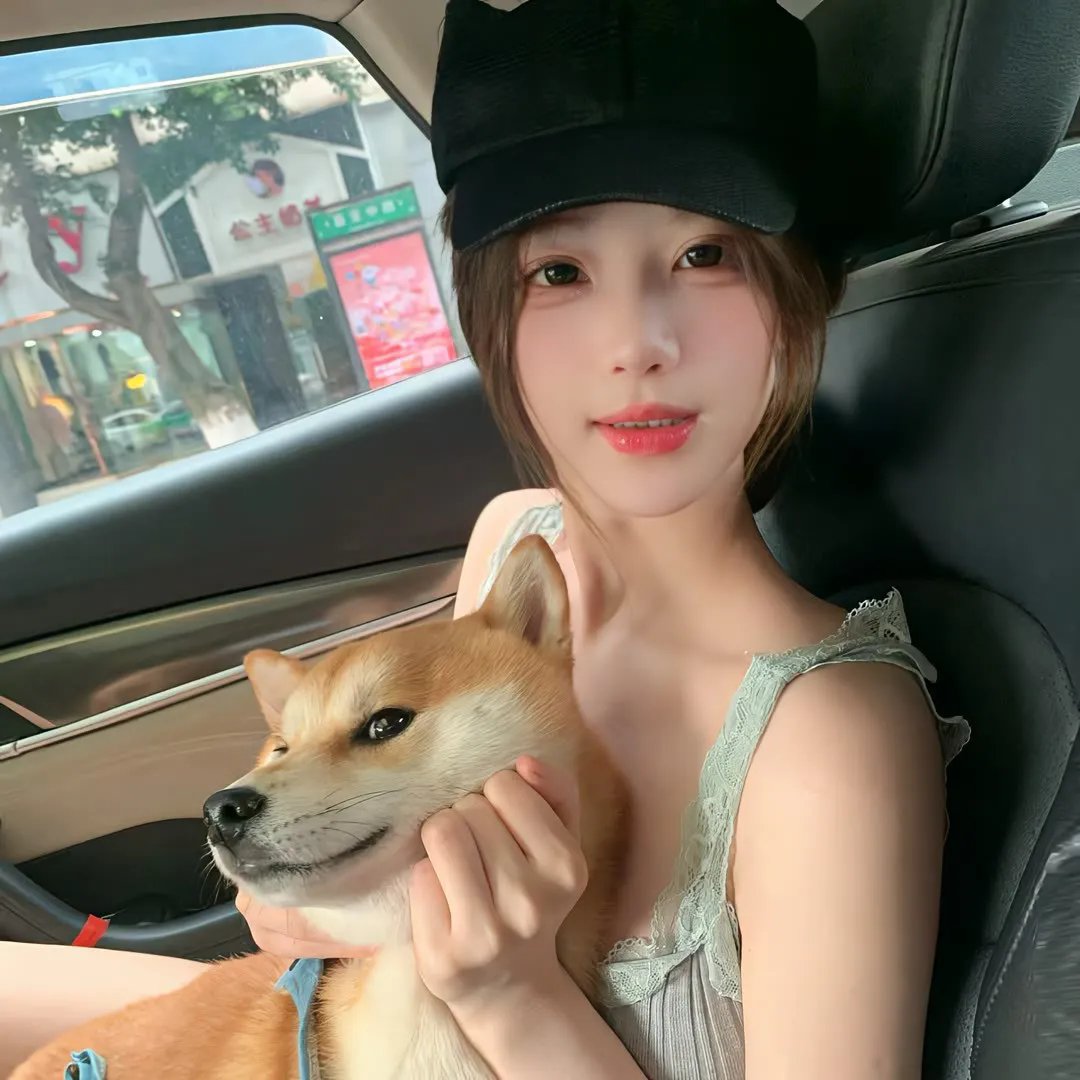 猫咪不跳舞